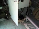 Photo Number 9
